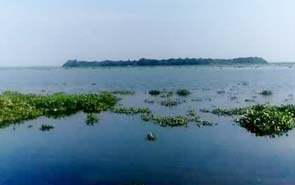 Pathiramanal-Island